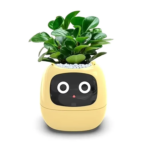 AI Pet Flowerpot Planting Robot 7 Smart Sensors Yellow